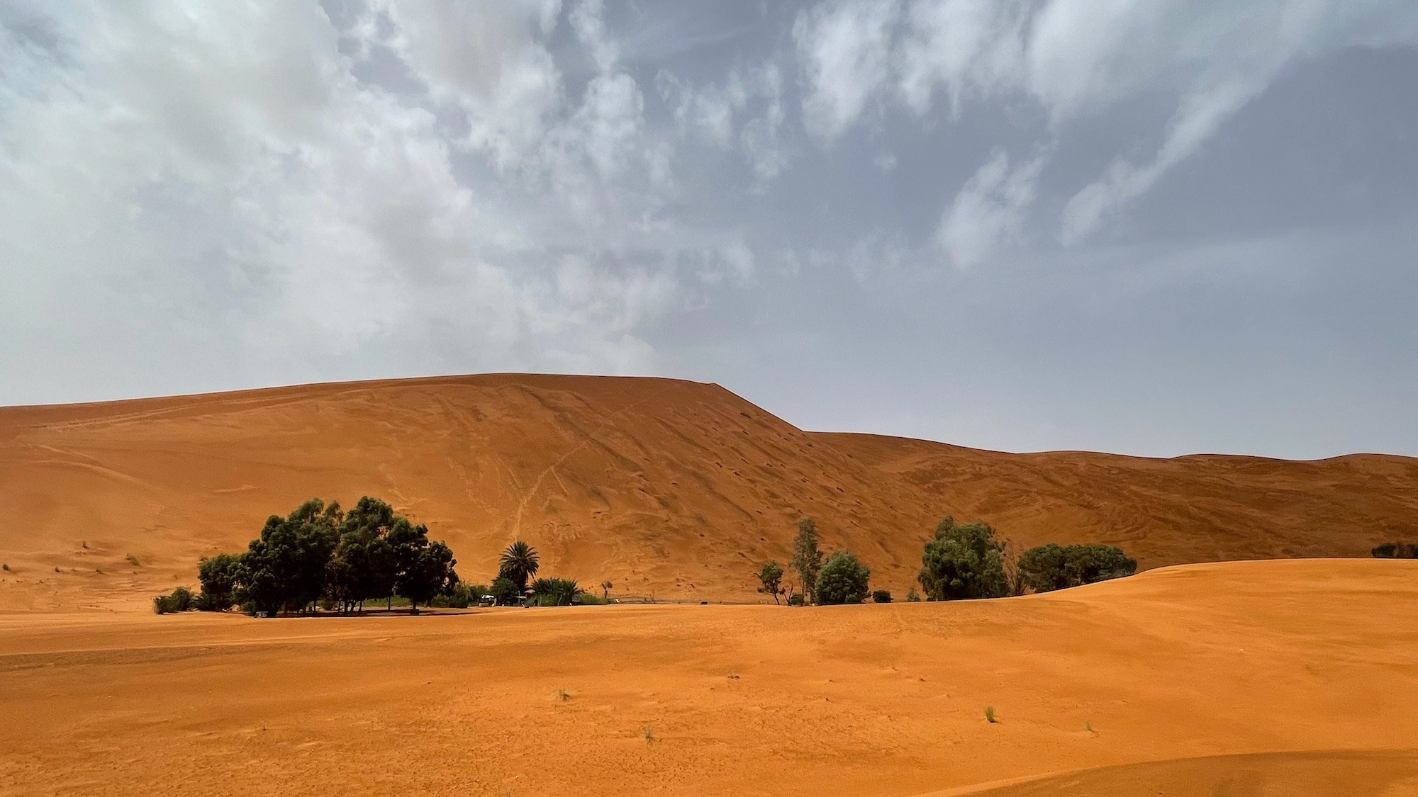 Dunas rojas del Erg Chebbi con oasis de palmeras y &aacute;rboles en el desierto de Merzouga, Sahara marroqu&iacute;