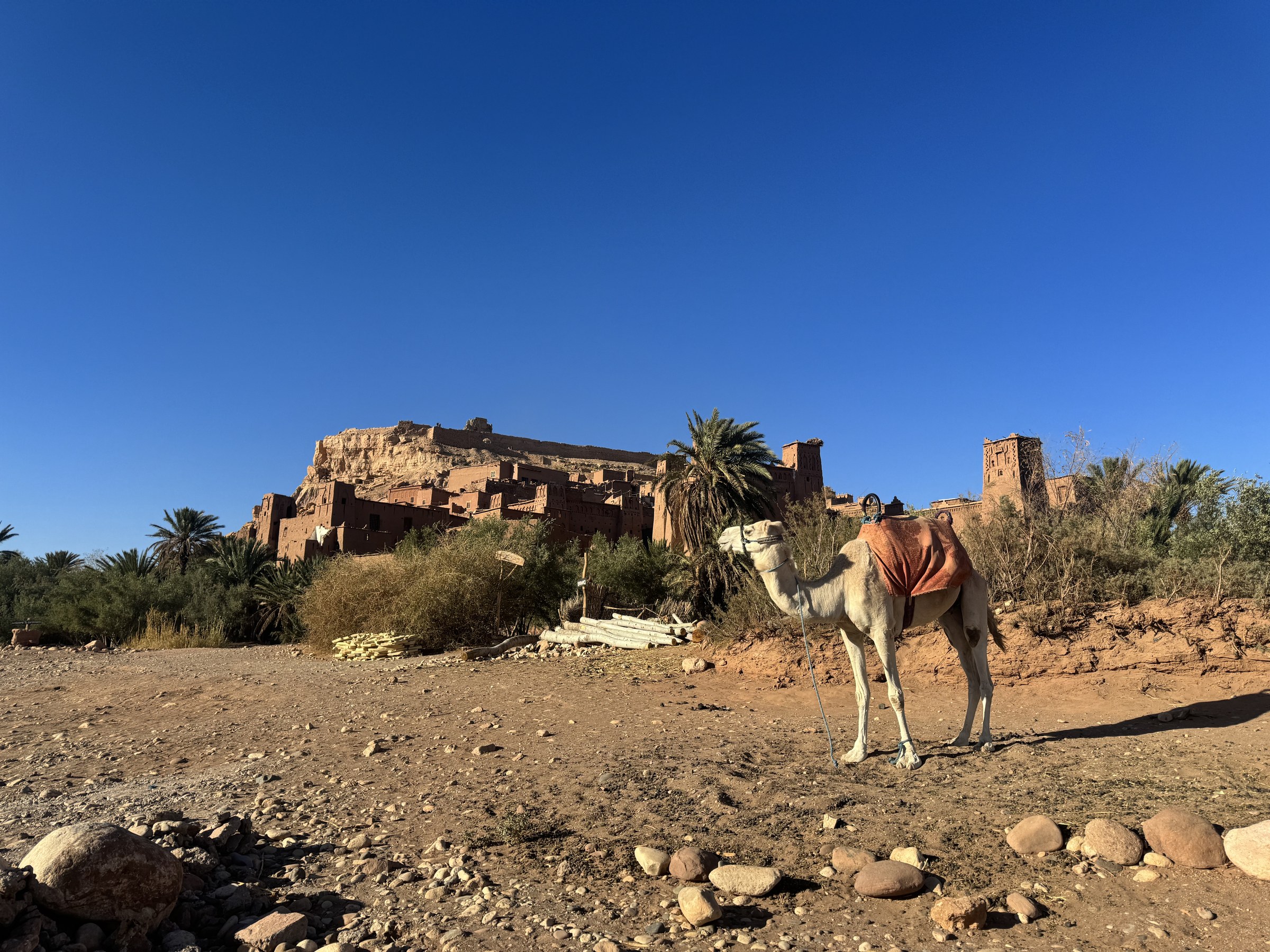 Qué ver en Marruecos: 10 lugares imprescindibles en tu primer viaje