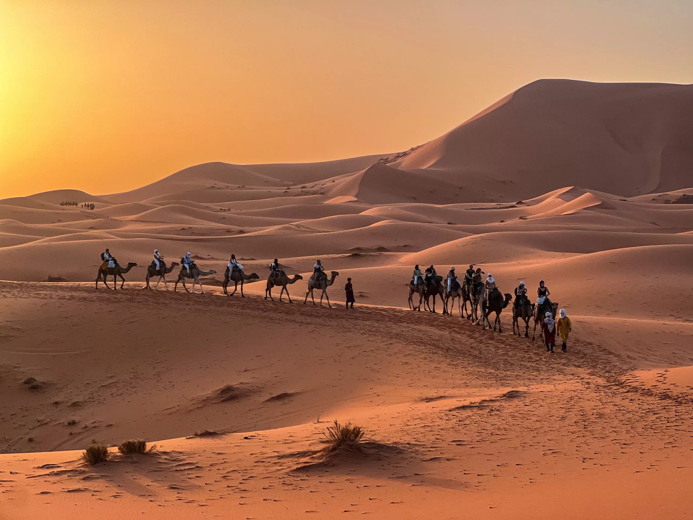 Caravana de dromedarios al atardecer entre las dunas doradas del desierto de Merzouga, Sahara marroqu&iacute;